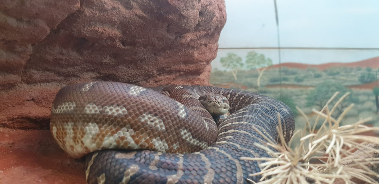 02941765-83-DB-4380-B56-E-71-E5-D78089-B