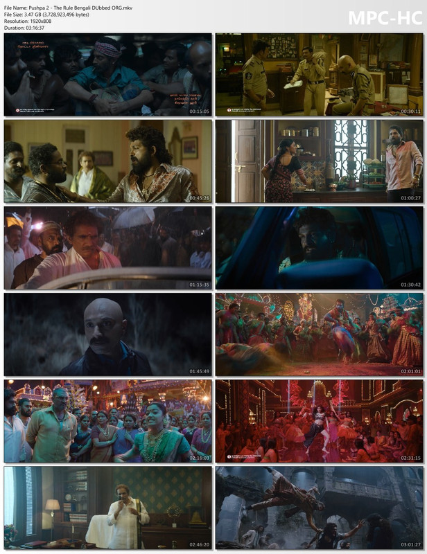 Pushpa 2 The Rule 2024 Bengali Dubbed Mo vie ORG 480p WEB-DL 980MB.mp4 screenshot