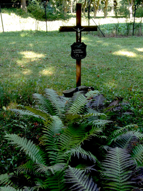 17.19 - DSC07576 (Czesio1)