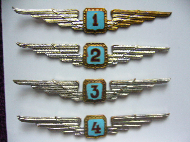 Кокарда гвф 1947. Классность билетов. Значок пилота гражданской авиации. Классность билетов. Классность билетов.