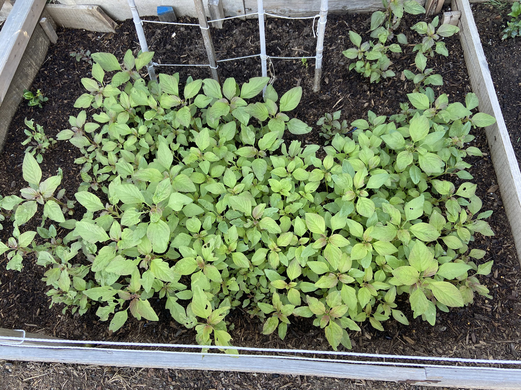 AF0DAC42-DD6B-41B6-A699-0C32AC321605