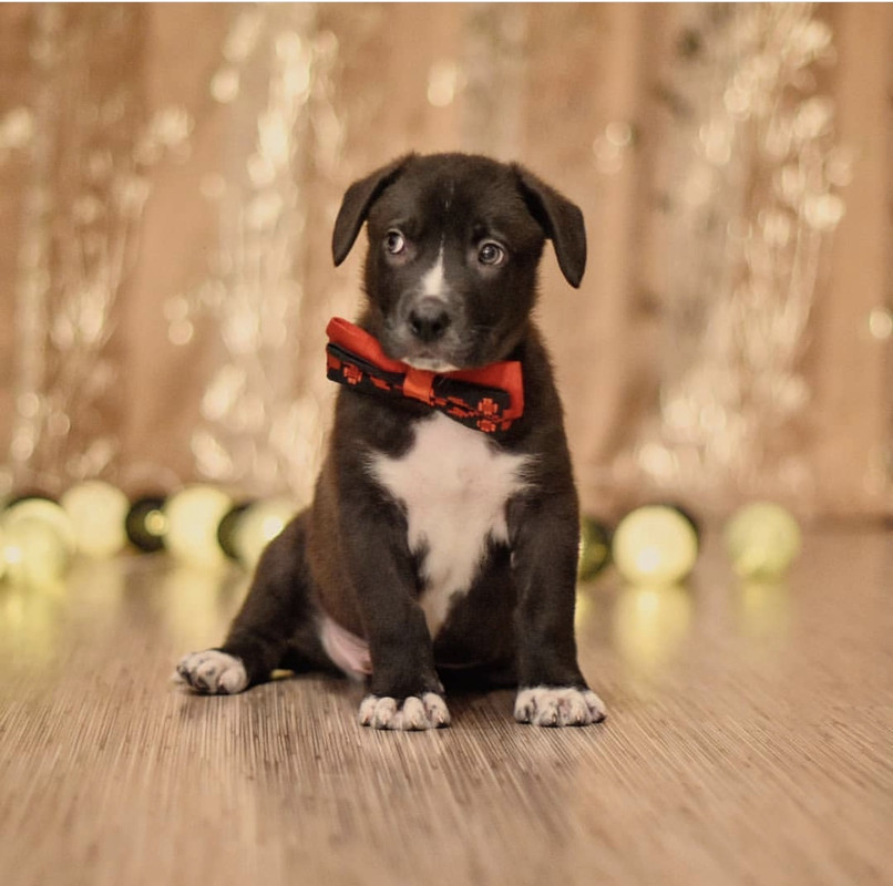 5D0A6764-C1DA-40EE-BEEB-23D510F72DCB