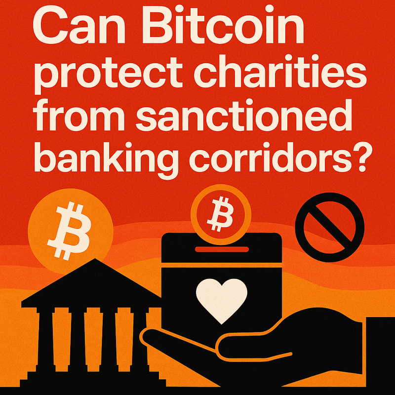 Can Bitcoin protect charities from sanctioned banking corridors?