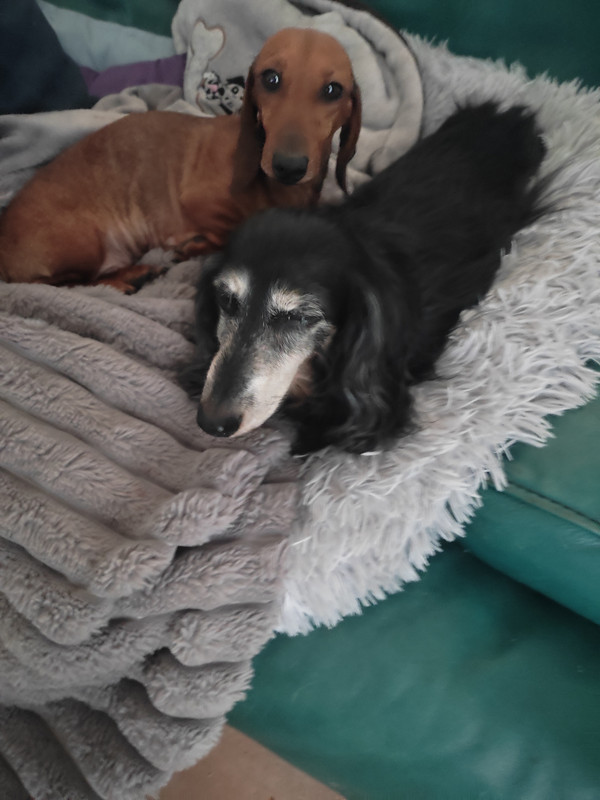 [Image: IMG-20240105-152616.jpg]