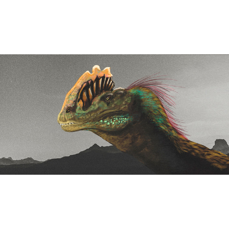 cesar-camilo-julian-caballero-dilo-camilo-01