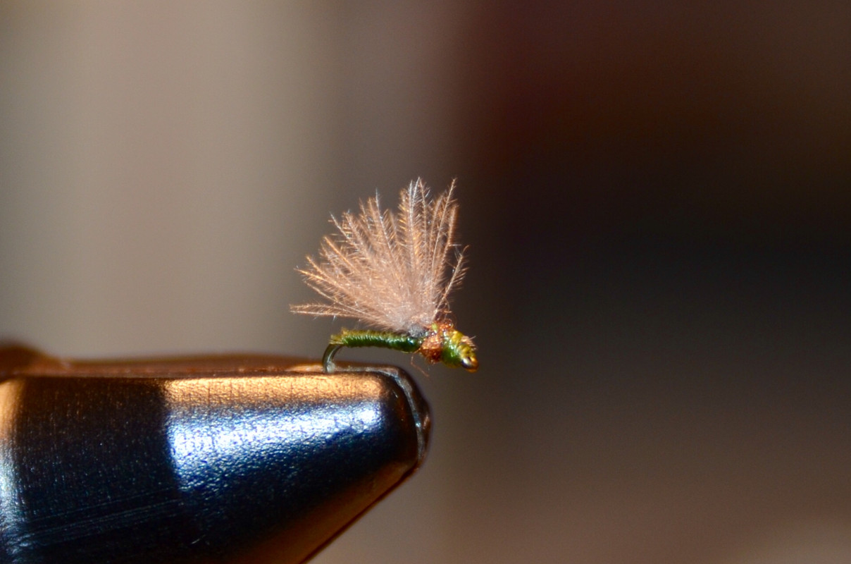 37E975F4-75E9-48F4-8D75-9768DA1B86EB