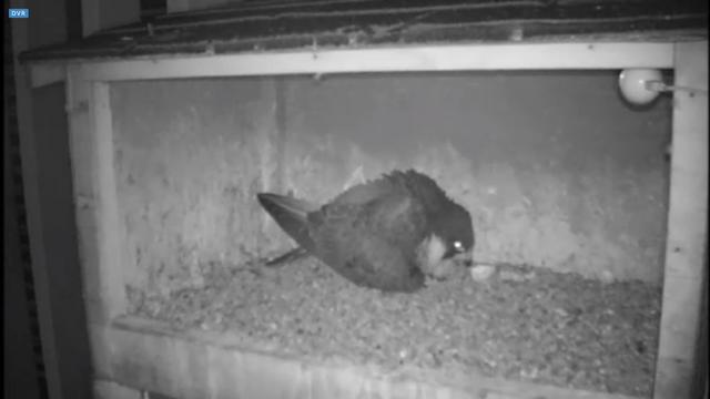 capture_10062018_151457