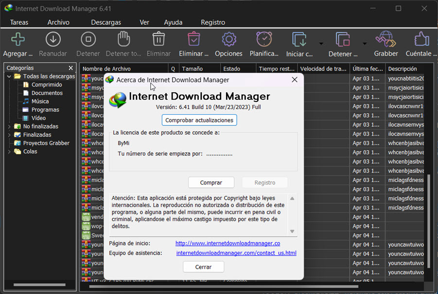 Fotos-00070-Internet-Download-Manager-v6-41-Build-10.jpg