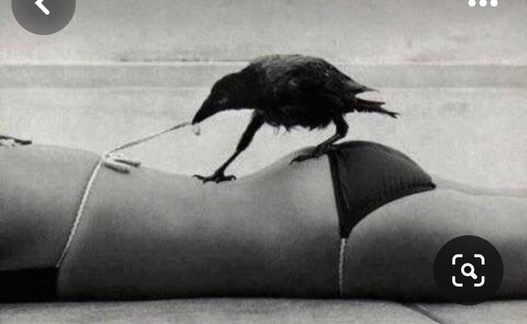 Screenshot_20231201_230413_Pinterest