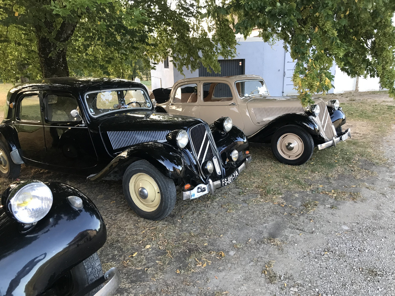 IMG 0449