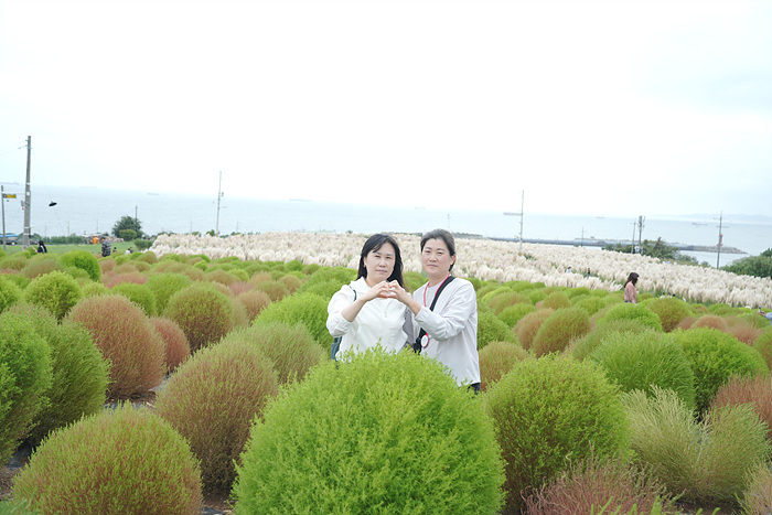 DSC02424