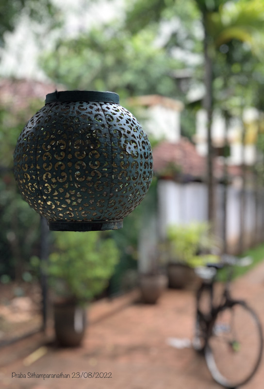 E8-DBB63-F-9-C77-460-C-ADA0-6-C287-BD487