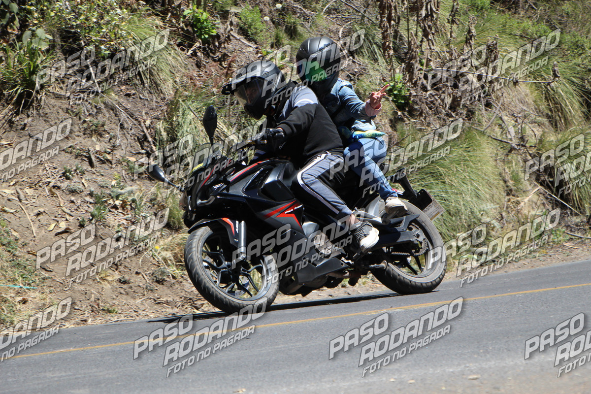 IMG 4435 wm 7027453 9 watermarked — Postimages