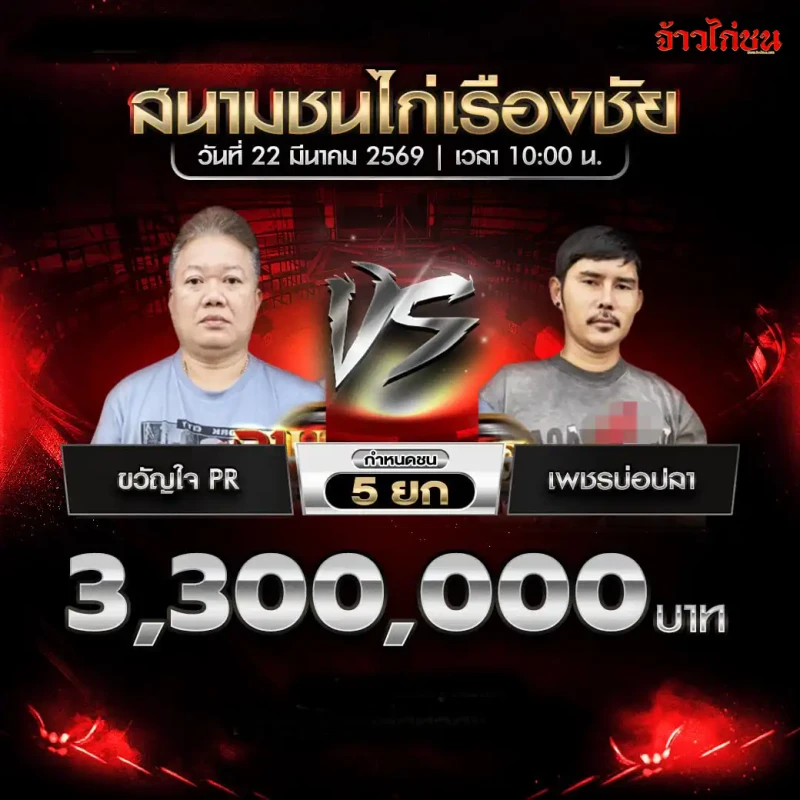 ขวัญใจ PR vs เพชรบ่อปลา โปรแกรมไก่ชน สนามชนไก่เรืองชัย