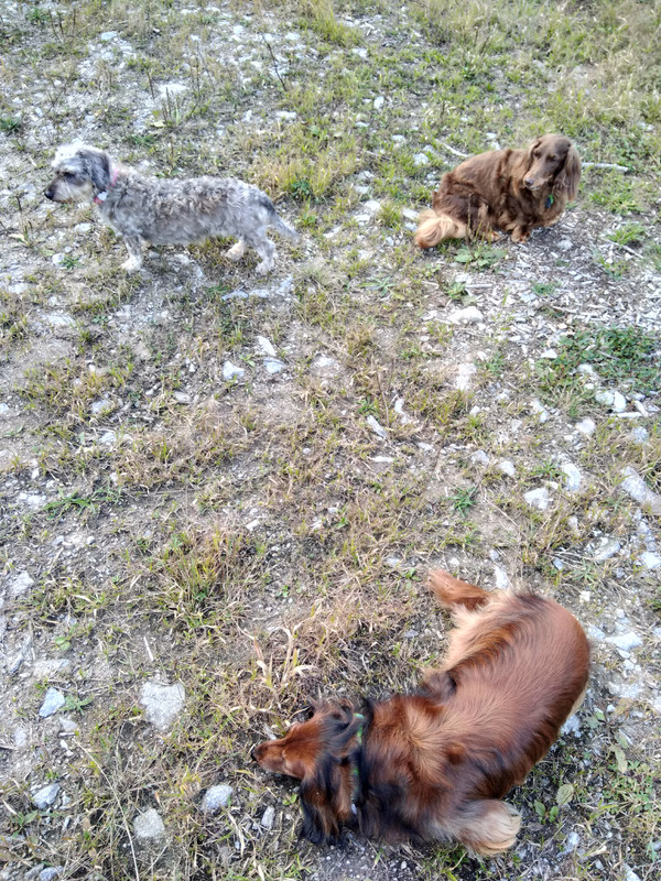 [Image: IMG-20210912-185054.jpg]