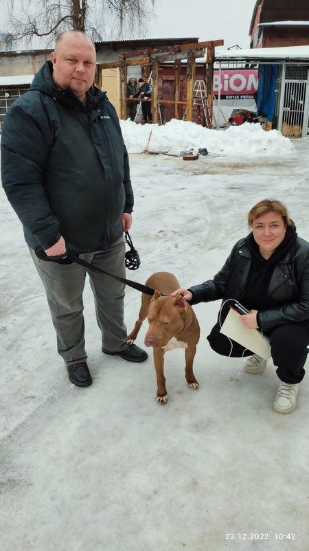 3931CE8E-F051-466B-932E-977D2BD2E004