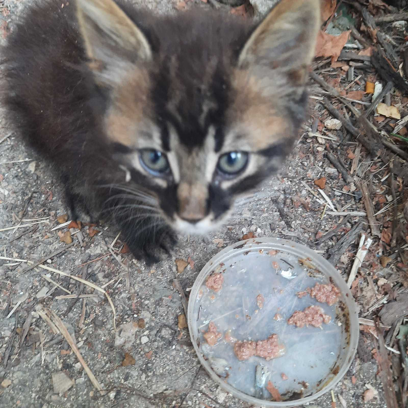 изображение_viber_2022-08-29_14-05-19-085