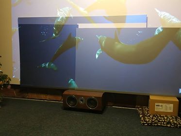 49828854_2247985102127398_1241254842853228544_n