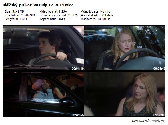 Řidičský průkaz / Learning to Drive (2014)