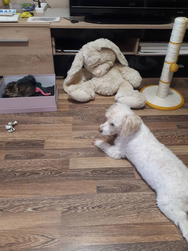 IMG-6d152d362174c99a05302b63205e6079-V