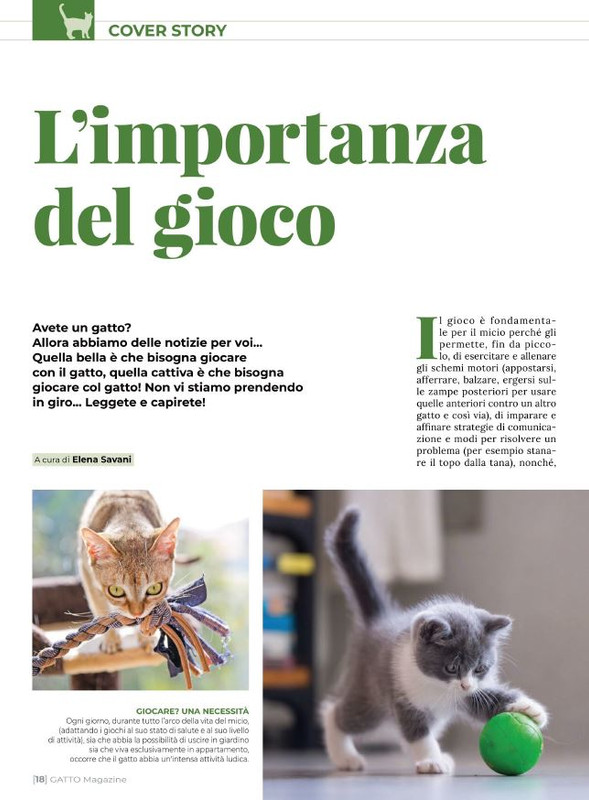 Ga Ma Giu-Lug 2022 (1)