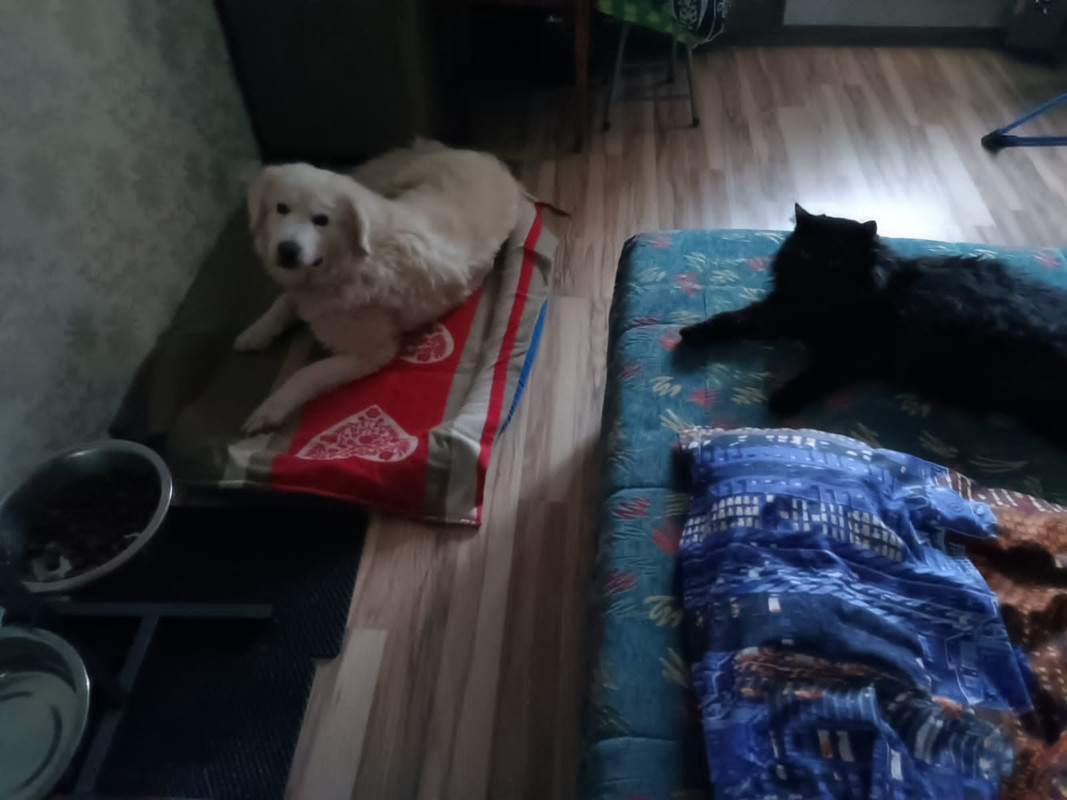 837E8F17-C976-4F50-A9DC-221DC4776C11