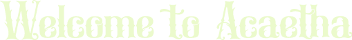 text-1740539173392.png