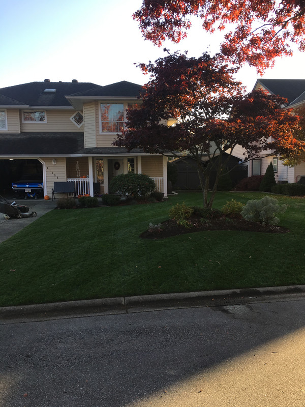 D008AEBD-7799-47FF-AE5A-011F1EEA3242