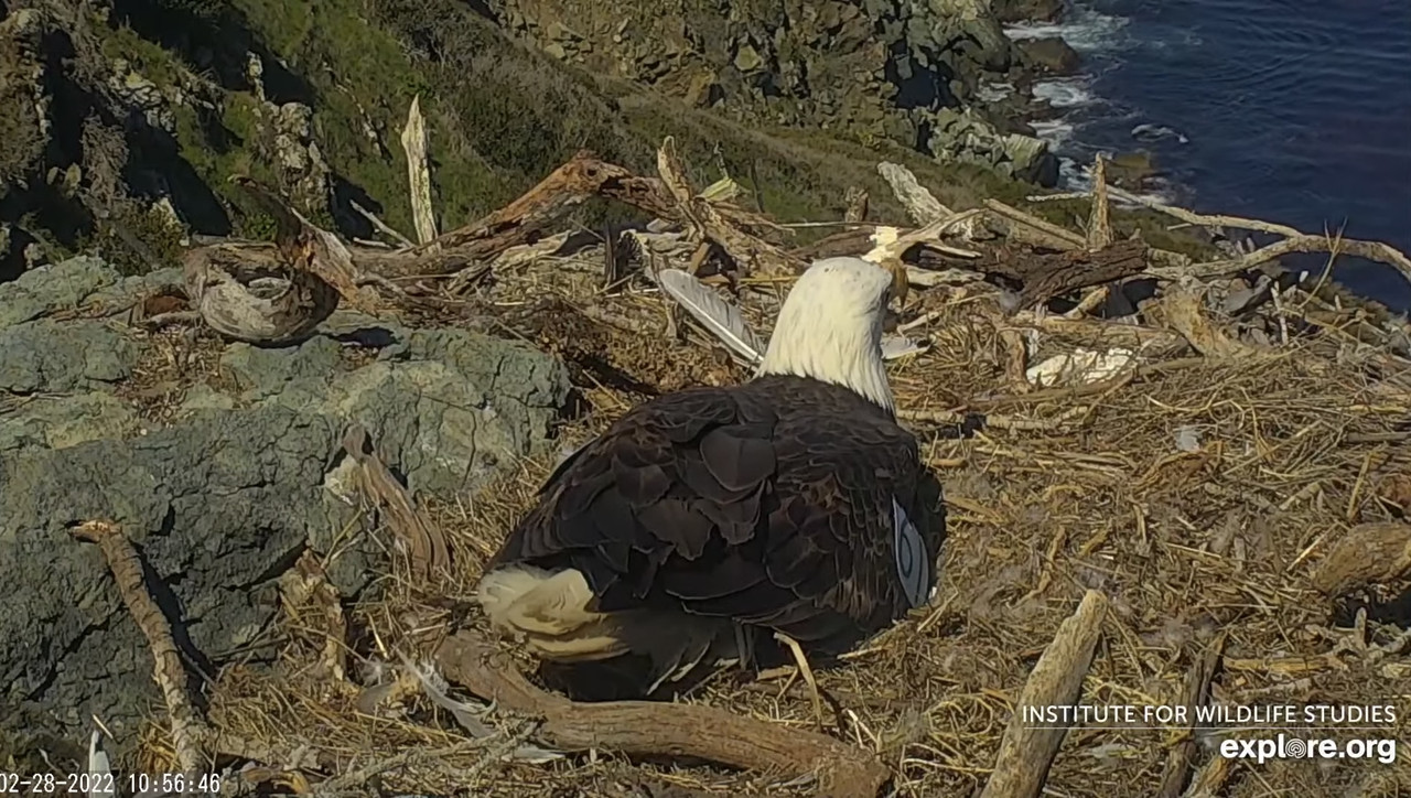 6EACEA5D-BE12-49B8-B966-7D2995AD8645