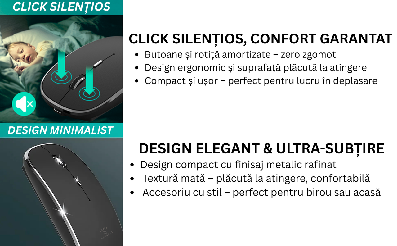 Mouse NETSTAT Prezentare 3