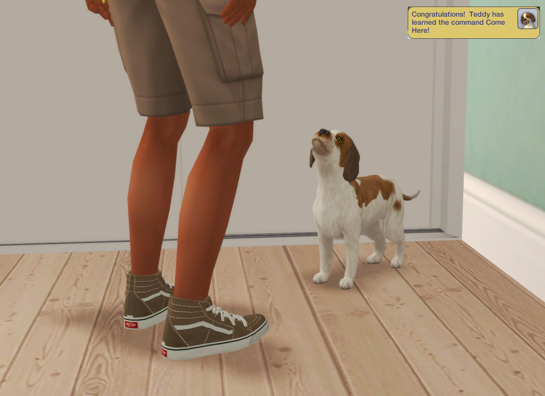 Sims2-EP9-RPC-2024-11-03-12-10-21-13