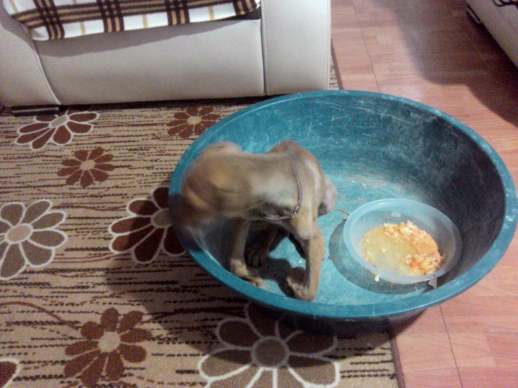 Snapshot_20141128 (4)