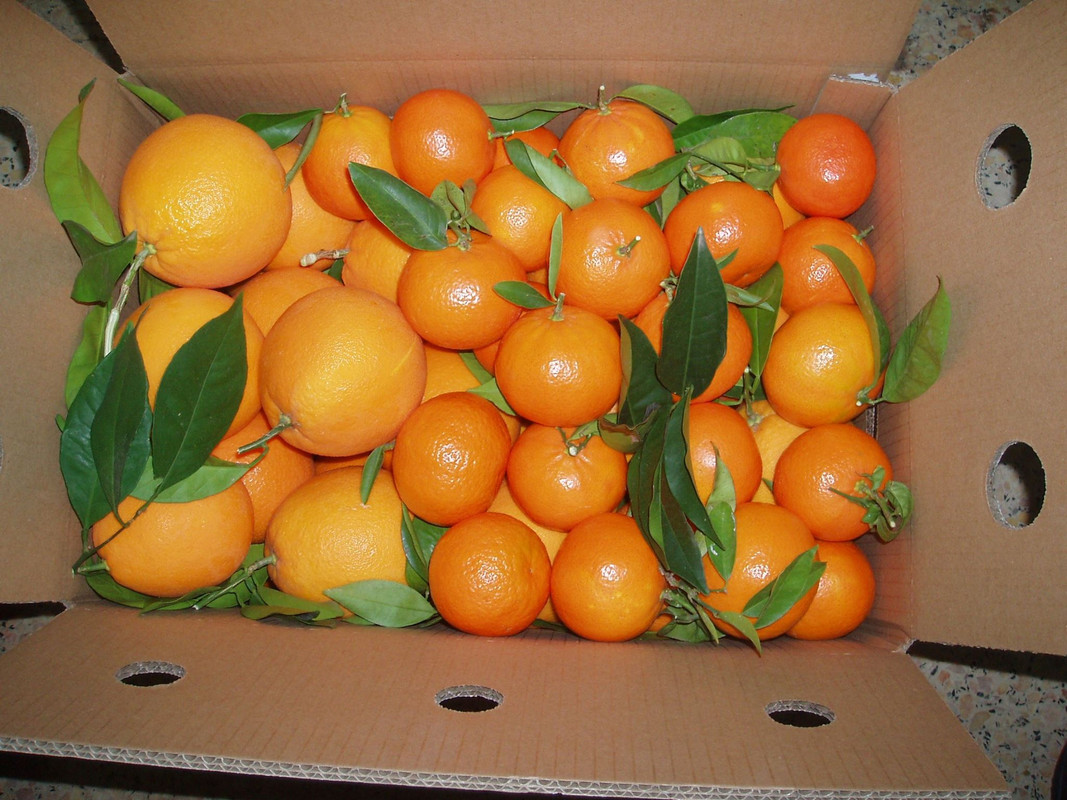 caja mixta