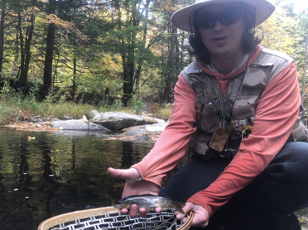 8F747385-9DBB-4519-9437-407AEE8E84AC