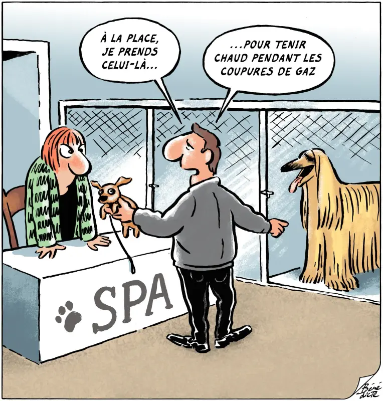 1VhIo2yjqhk9q-_EAxOKNc