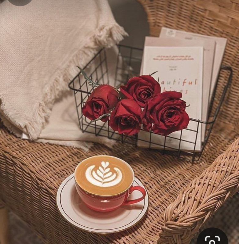 Screenshot_20230913_174957_Pinterest