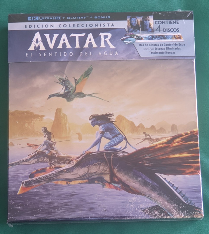 PXL_20240226_143533494 (Grande)