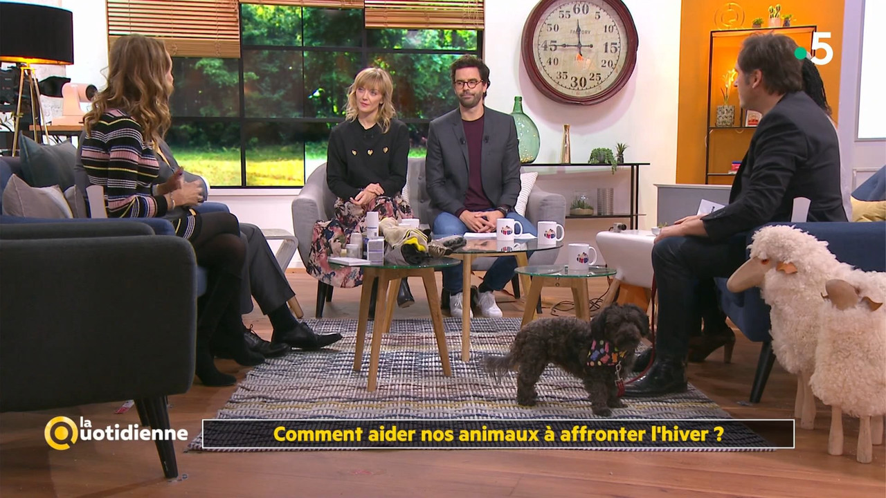 08 January - 10.45.00 - La quotidienne. Consommation solidaire e