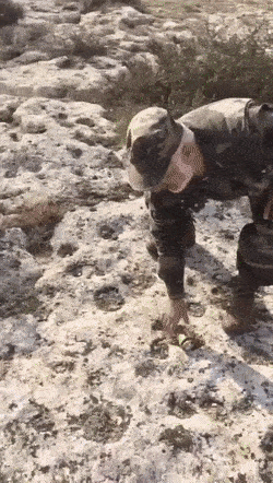 WOWGifs-4