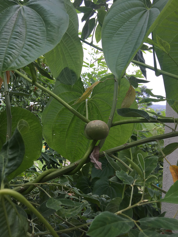 05D24D2C-3EF3-4B70-A5BD-90ACF7A66811