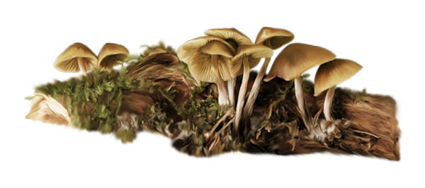 TADD_elements_AutumnFairyTales (62)