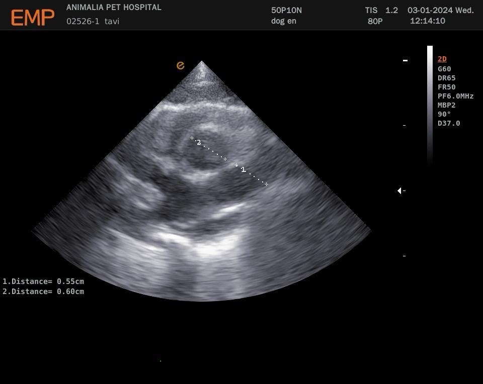 WhatsApp Image 2024-01-03 at 21.45.06 (1)