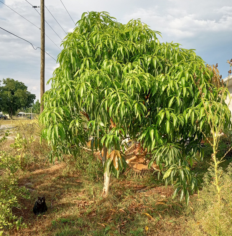 IMG_20240530_183214236_HDR~2