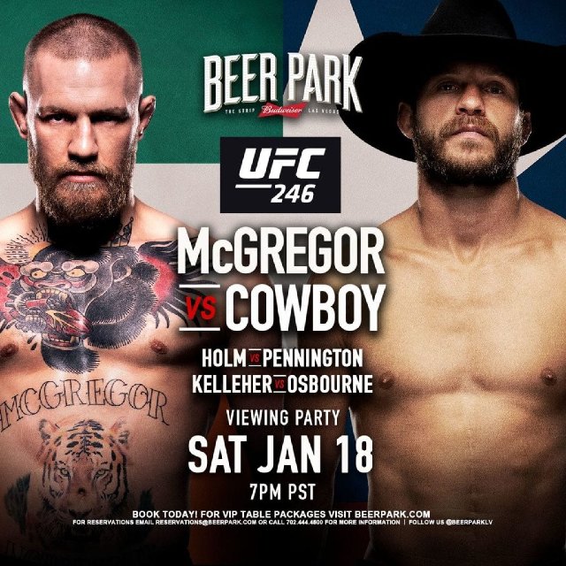 ufc 246