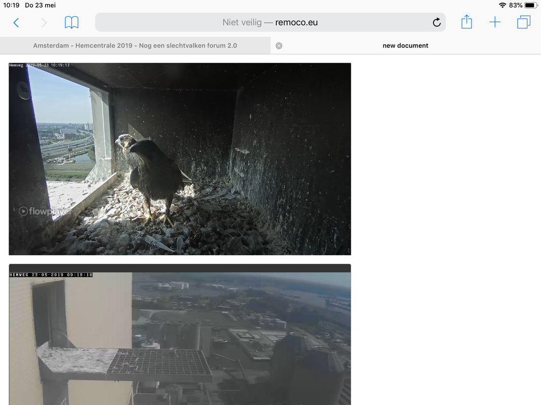 5132D41A-5A02-4480-B49B-A555BC73D3AD