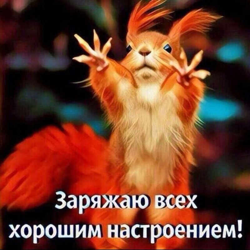 https://i.postimg.cc/NFyN1wgF/UID2215622-1639637578-15-1.jpg