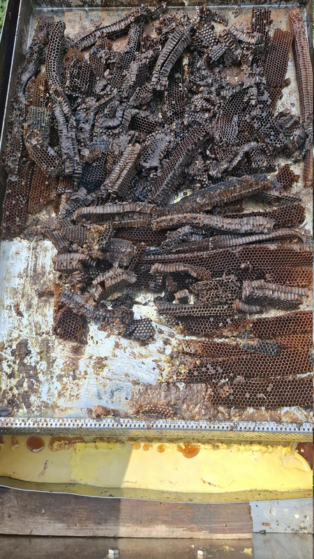 20260619 173456