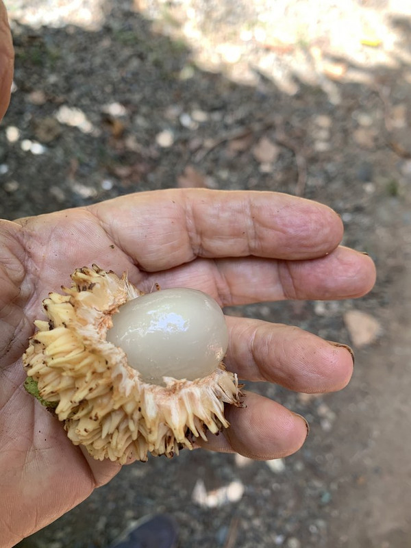 4E2FB9DC-CE95-4A1E-85B8-27F9E074ED19