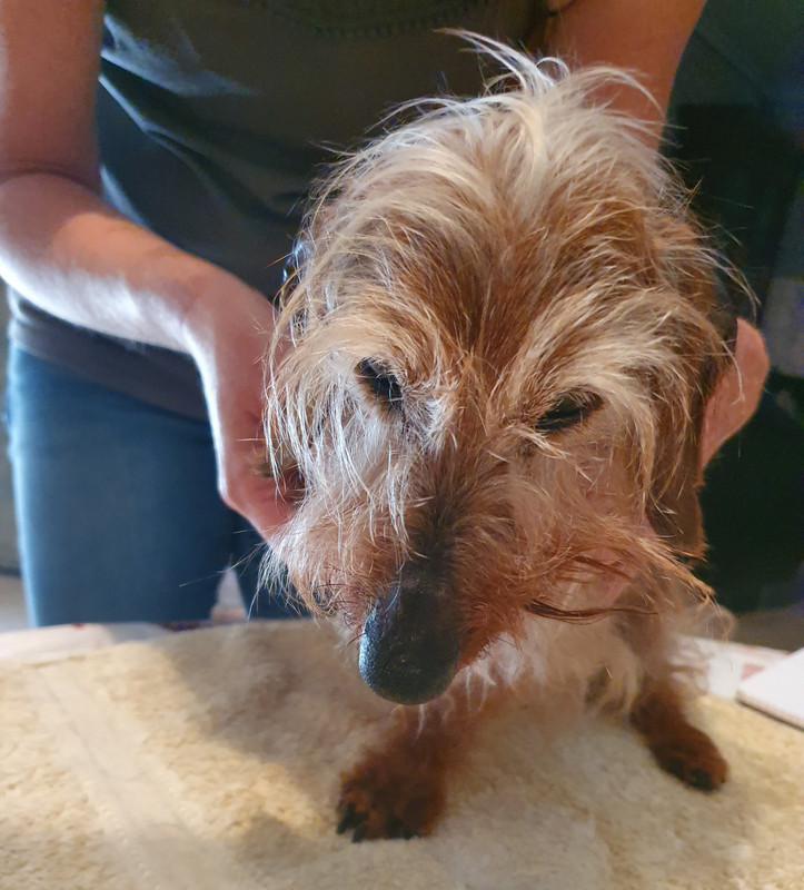 [Image: 20220615-155718.jpg]