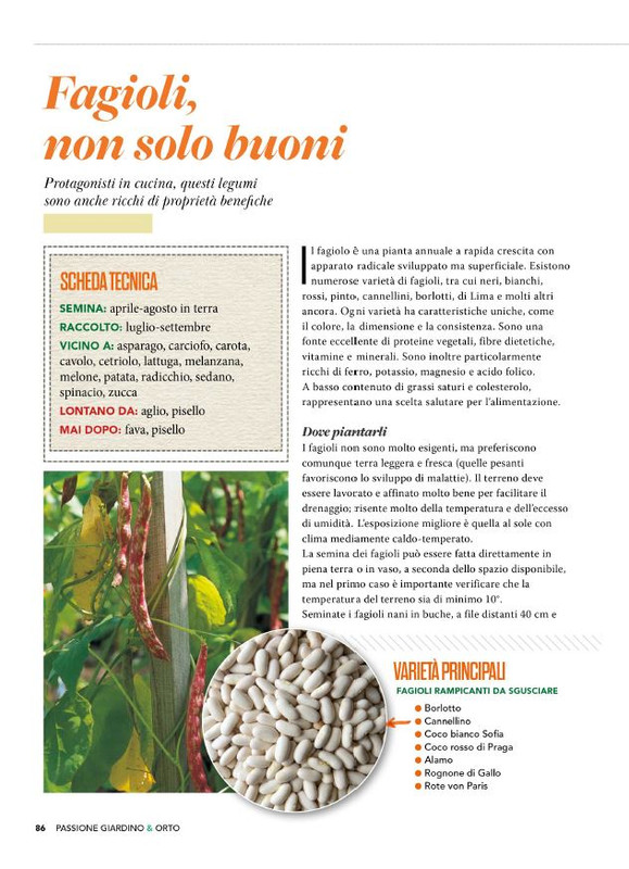 Pass Giar e Orto Lug 2025 (9)